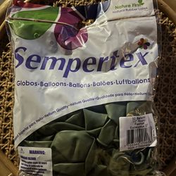 Sempertex Balloons Eucalyptus 50 Pcs 