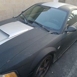 2002 Ford Mustang