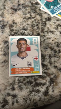 Panini World Cup