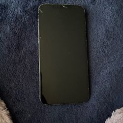 iphone 12 pro max for the GO 