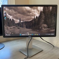 Dell Monitor 