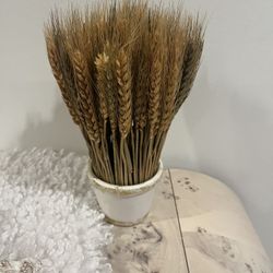 Decorative Natural  Dried Wheat Stalks