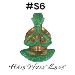 Plant Decor,and Home or Office