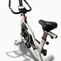 Ravs Exercise Bike