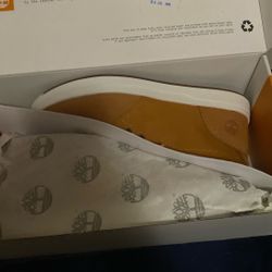 Timberland Shoes