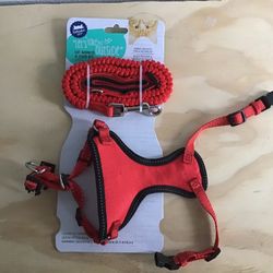 Cat Harness and Leash Set