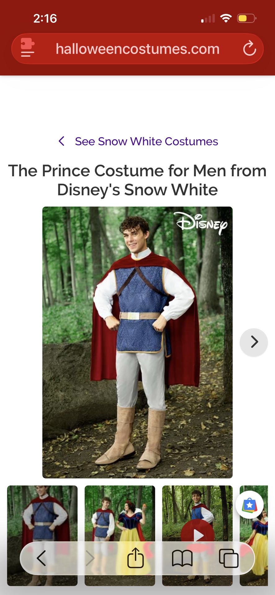 Prince Charming Costume 