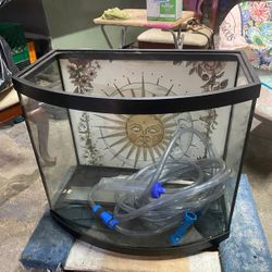 Fish Tank 