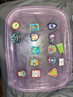 Girls Scout Bundle