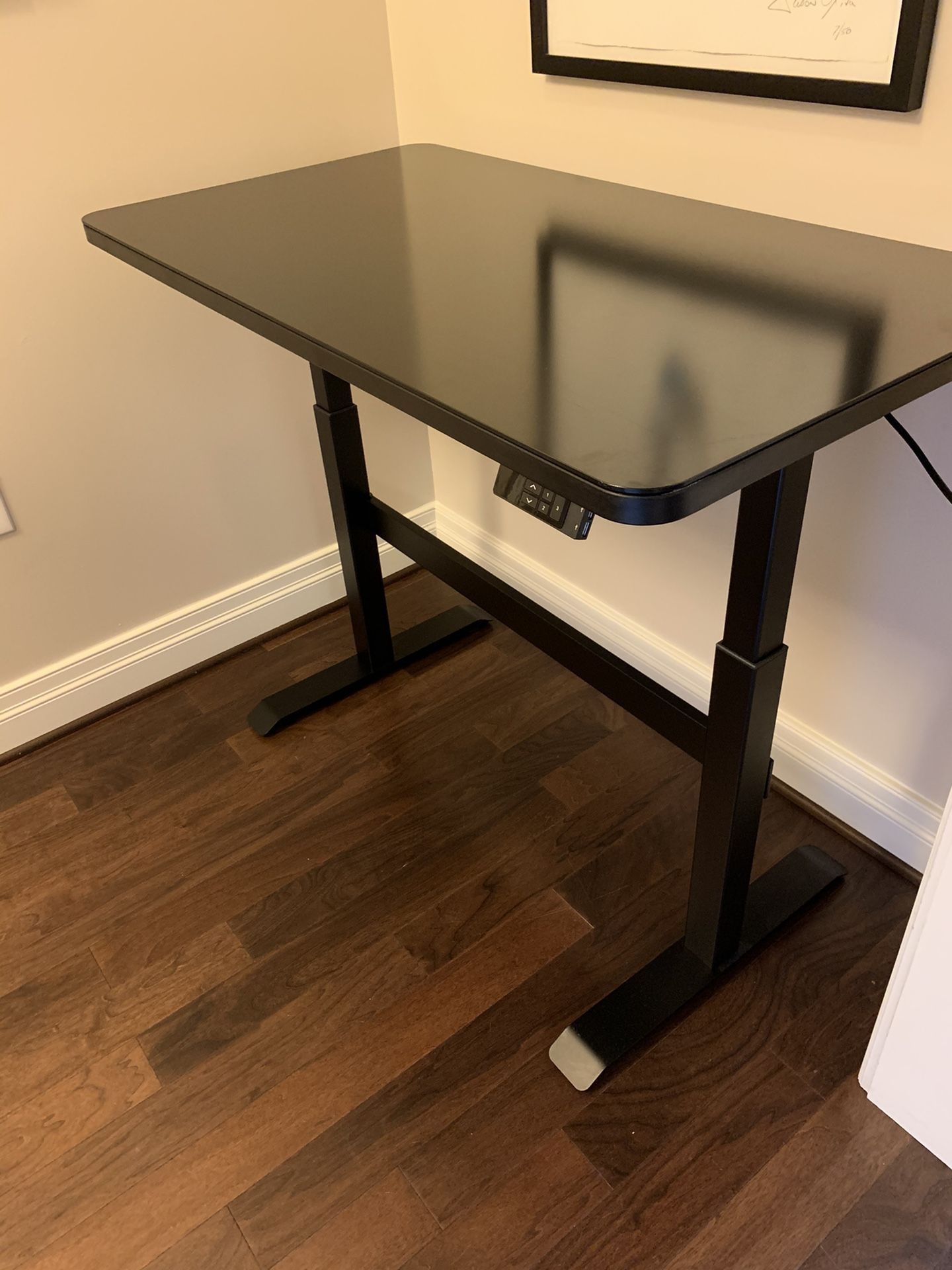 Adjustable Electronic Standing Desk