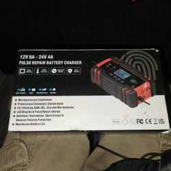 12/24V Fully Intelligent Pulse Repair Charger