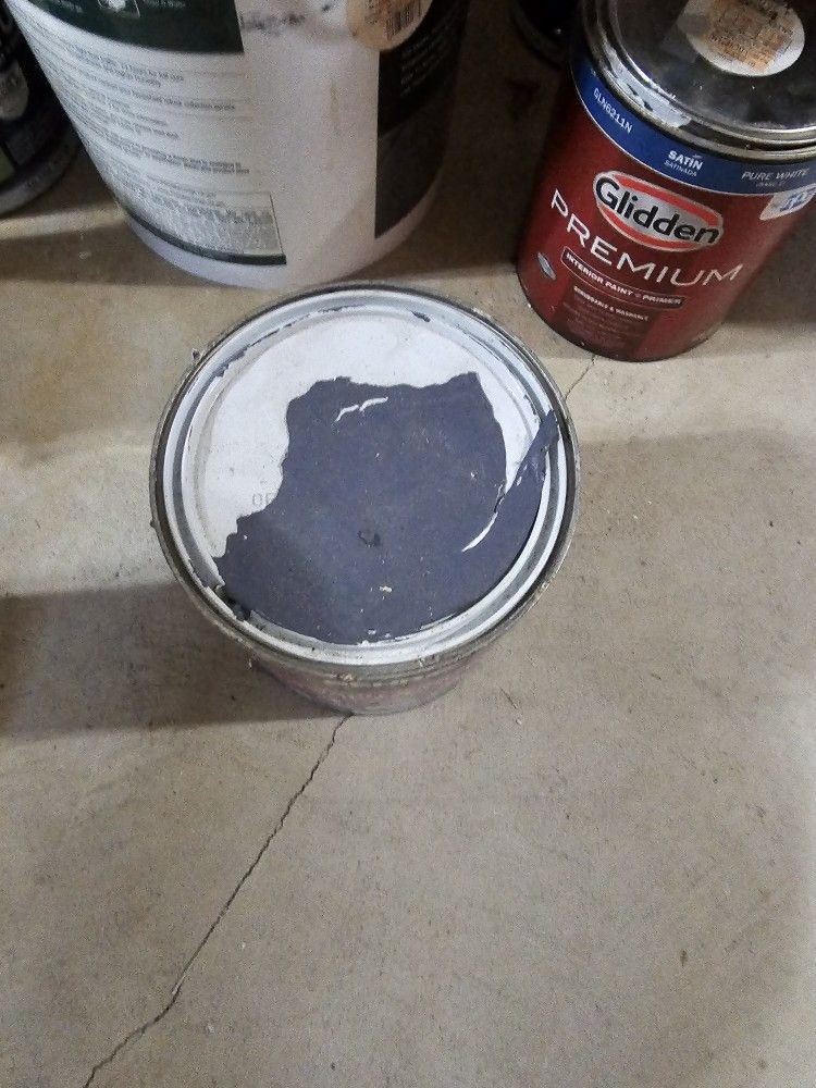 1 Gallon New Paint 