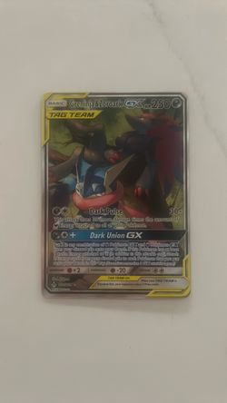 Pokemon Greninja & Zoroark tag team
