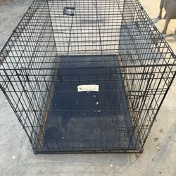 Large Dog Crate