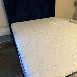 Queen Blue Velvet Bed With Mattress And Spring Box