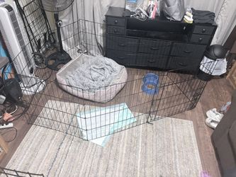 Small Dog Crate
