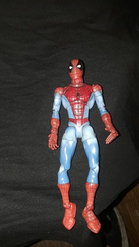 Spider-Man Toy Biz Action figure
