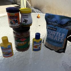 Tuttle And Fish Good