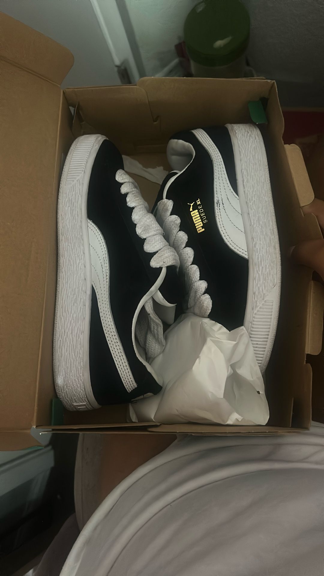 suede XL jr