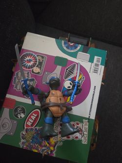 Teenage mutant ninja turtles Leo