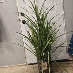 Fake Plant