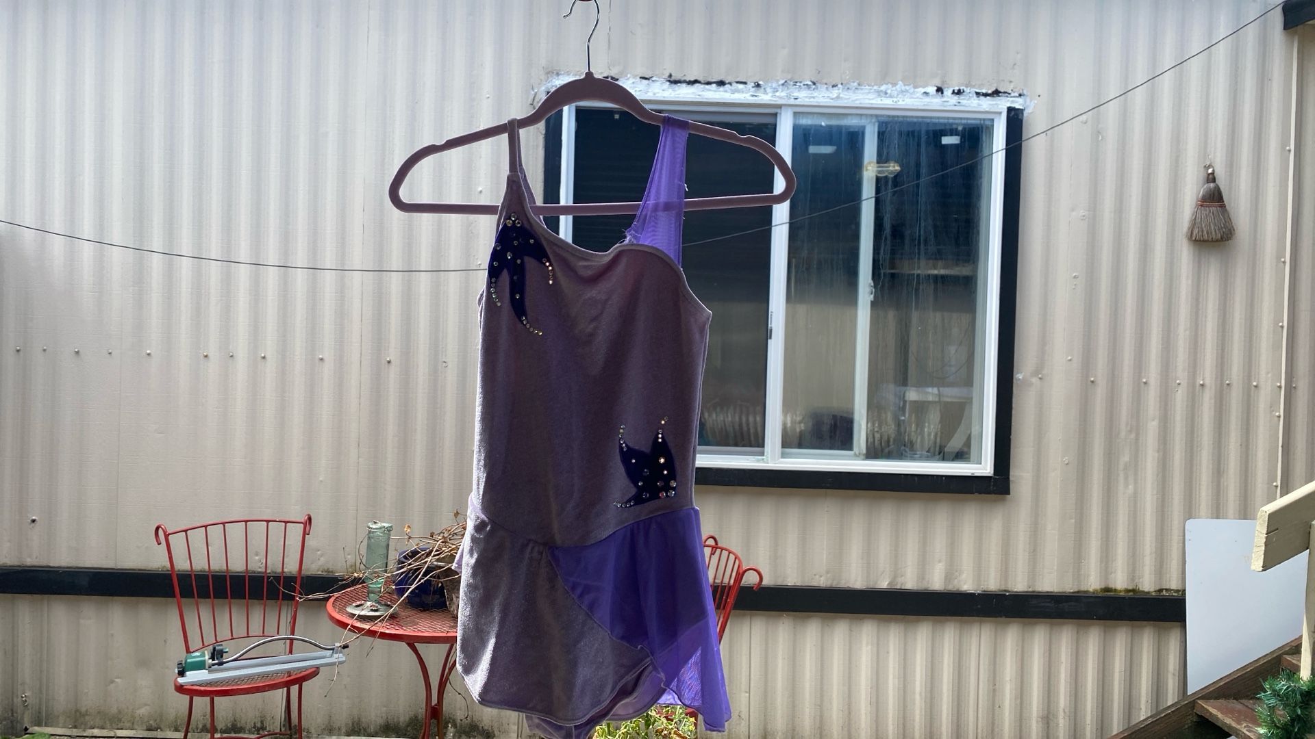 Skating Dress