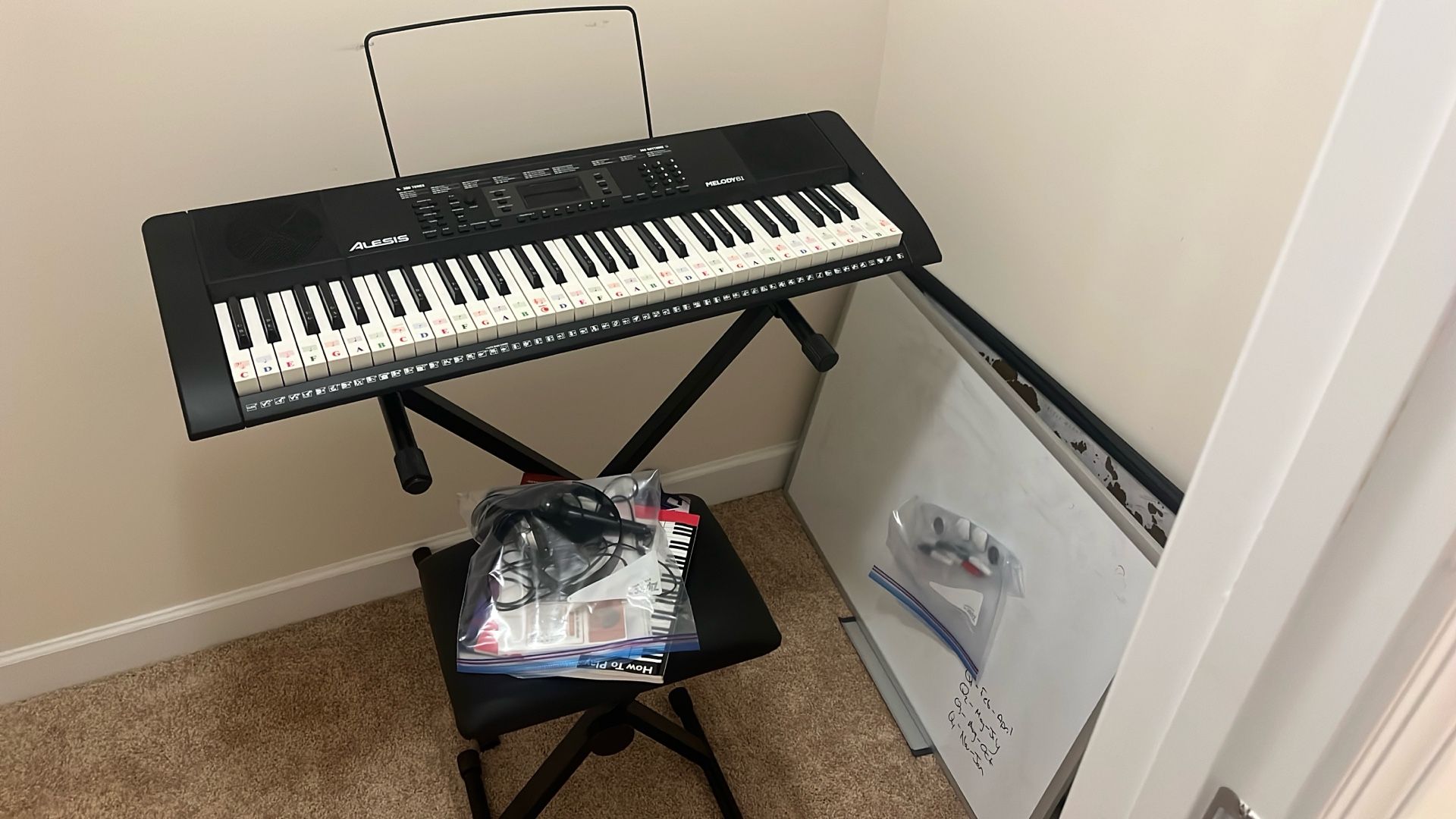 Kid starter Piano With Books And Microphone - Dry Erase Board Free