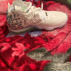 Size 12 Lebron