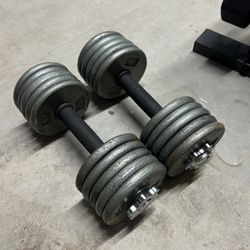 pair of 30lb adjustable dumbbells. 60lb in total 	