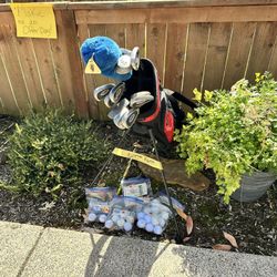 Golf Bag + all Clubs Seen Set Christmas Gift