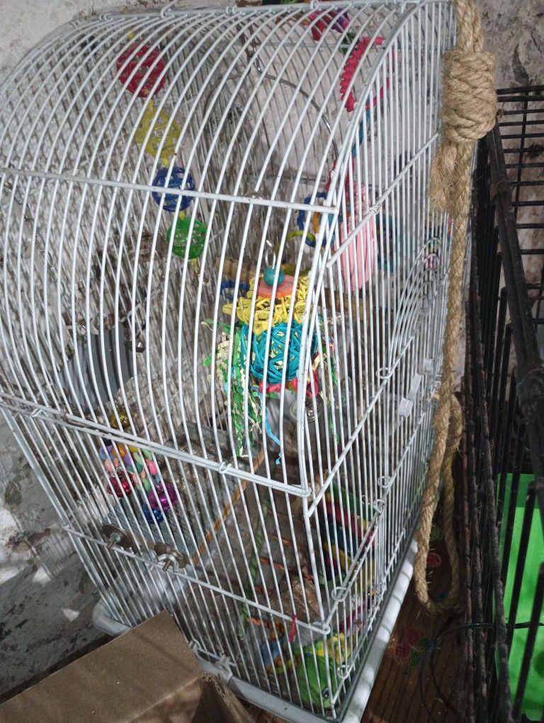 Bird Cage