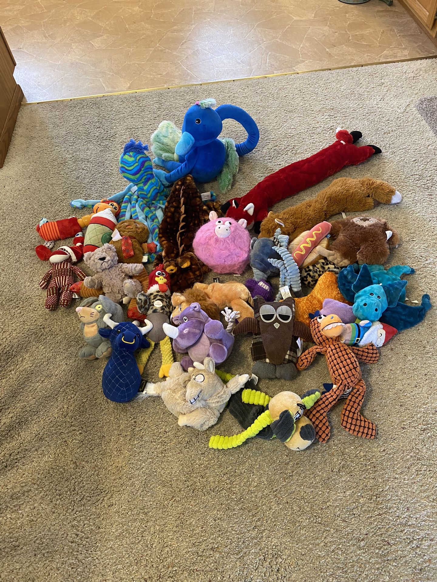 Dog Toys
