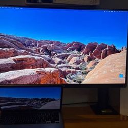 LG Ultrafine Ergo 27" 4K Monitor