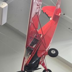 Beautiful RC plane