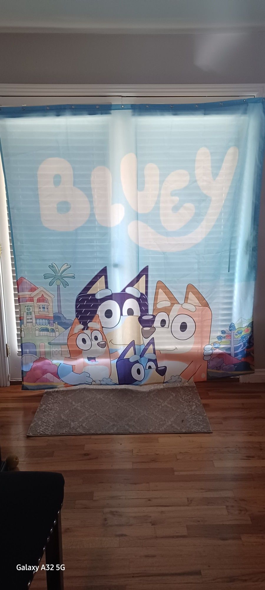 Bluey Shower Curtain