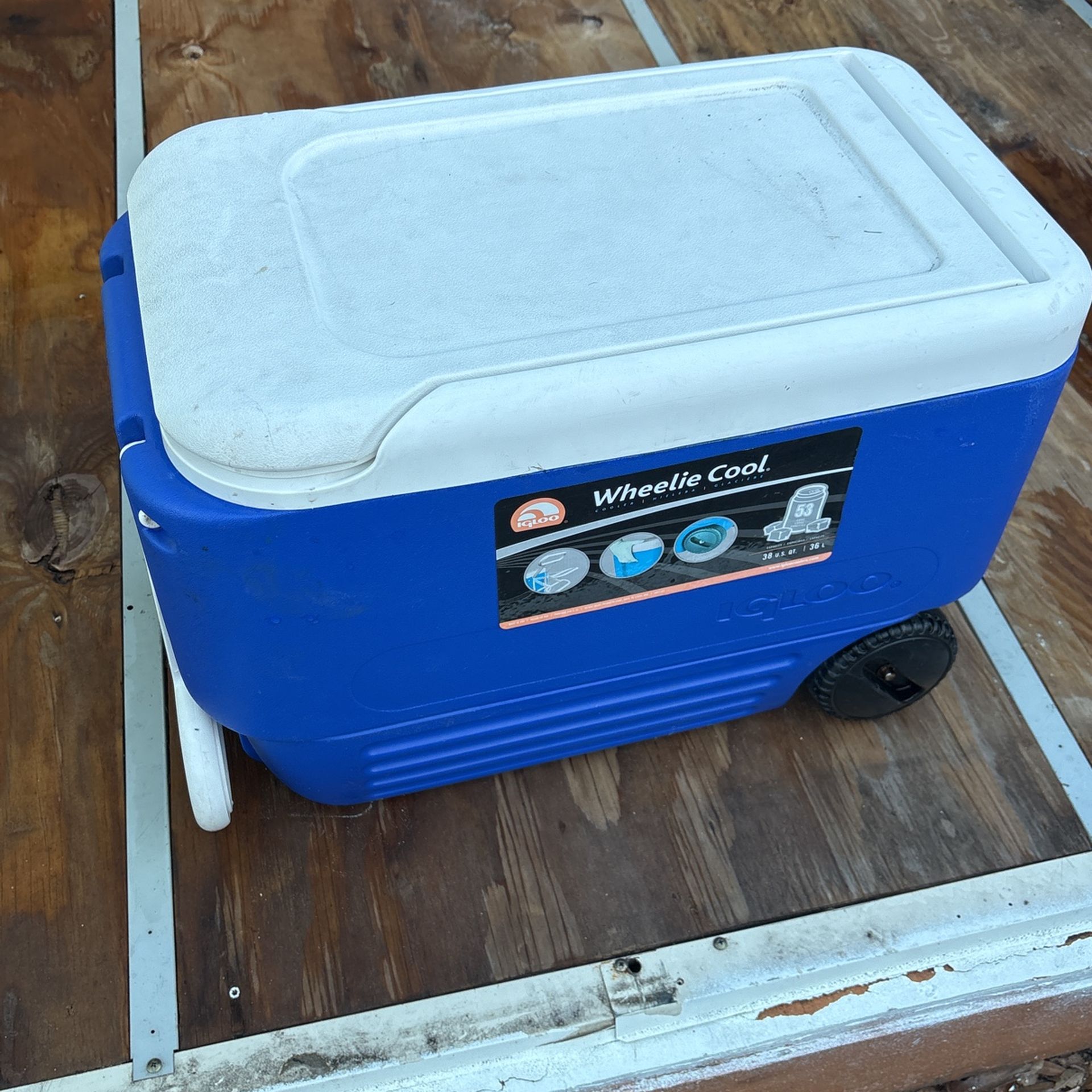 Cooler 38qt By Igloo