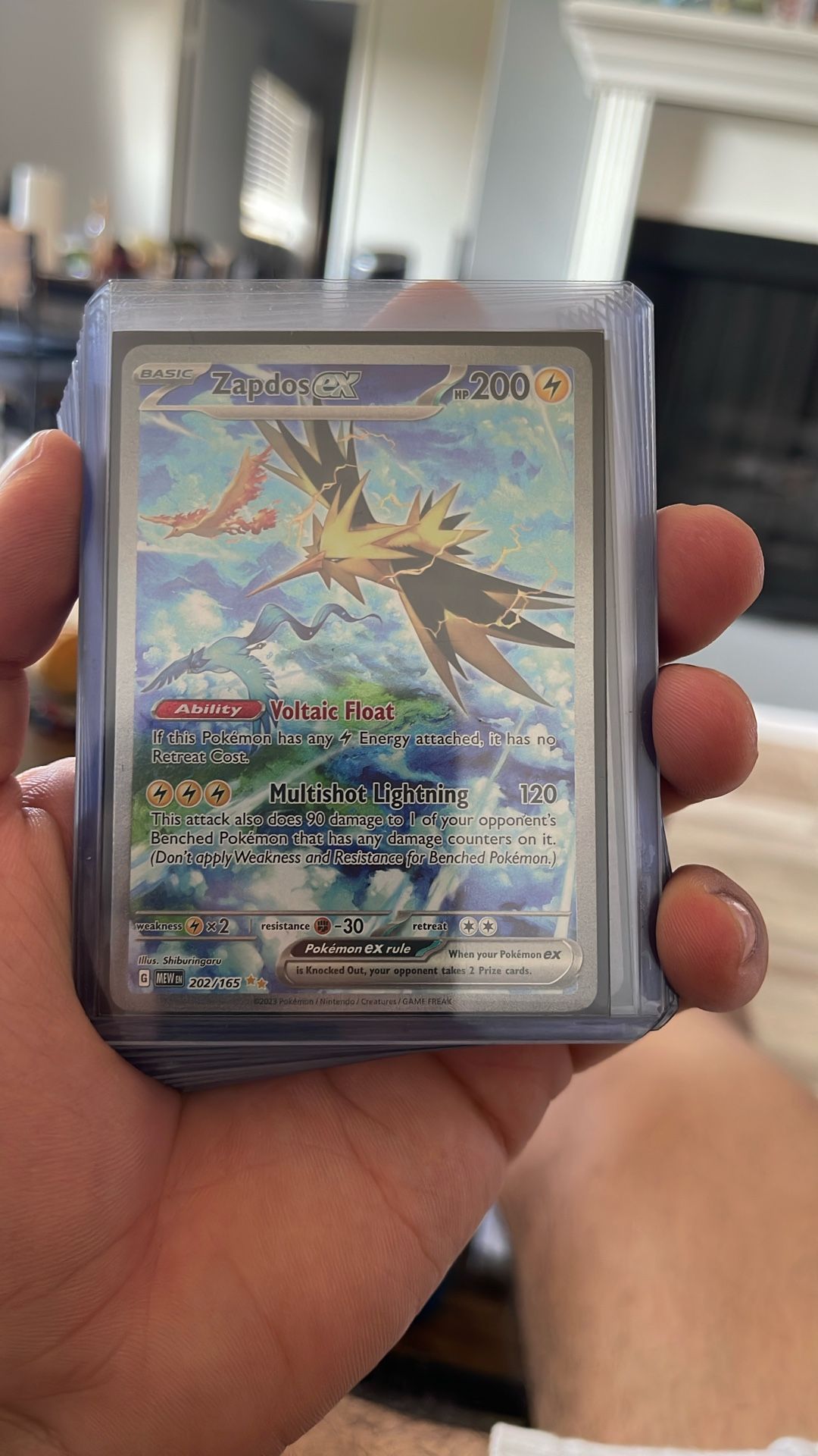 Zapdos Ex