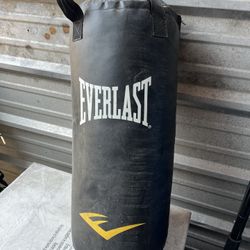 Small Punching Bag 