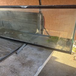 Glass Tank