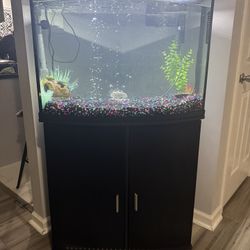 36 Gallon Fish Tank