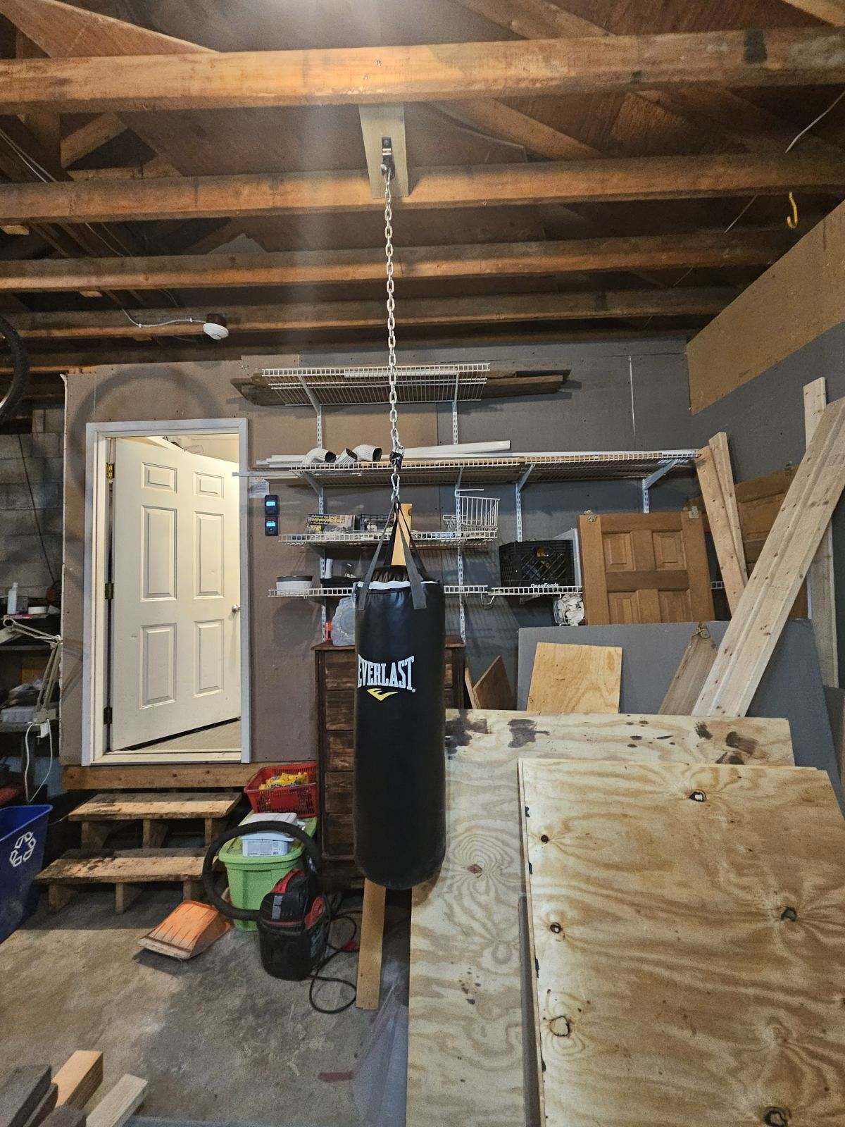 EverLast 90lb Punching Bag