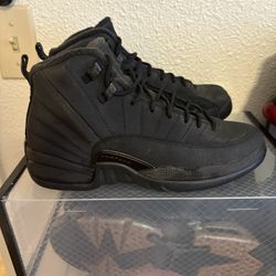 Jordan 12 Winter 