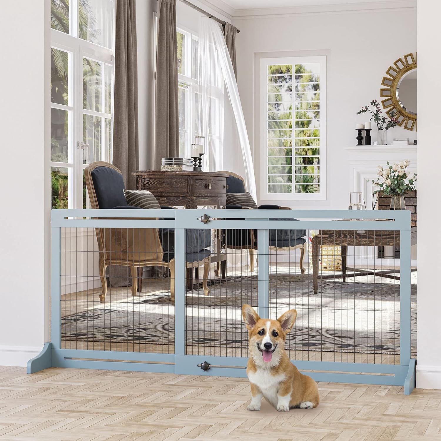 Dog Gate