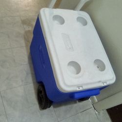 COOLER. LARGE