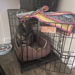 Dog Crate- Cute puppy Not Included! ;)