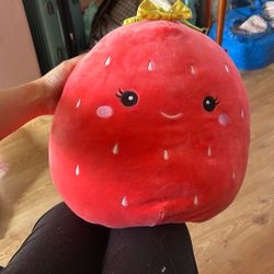 Strawberry Squishmellow 