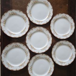 Set of 7 Regina Vintage Floral Porcelain Dinner Plates