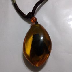 Amber Necklace The Amber Have One Big Bug Inside Size 2 By 1 1/4 Used