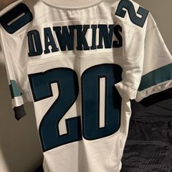 Brian Dawkins Eagles Jersey