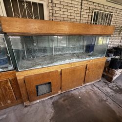 Fish Tanks Aquariums